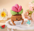 Cactus knitted mental support toy handmade gift ideas for friends and family
