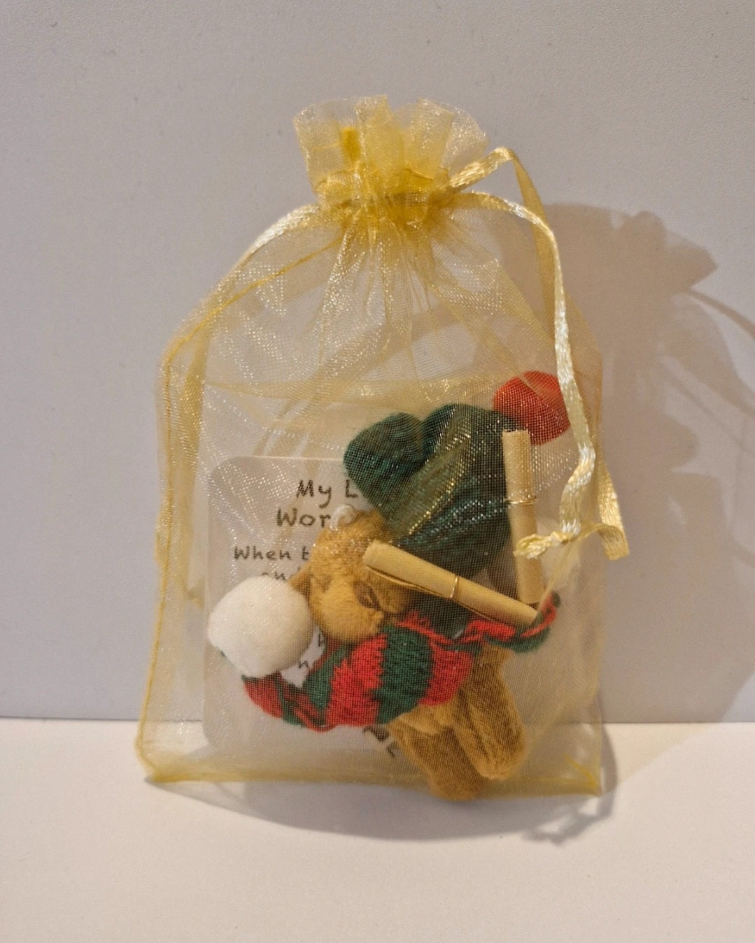 My little worry bear in a bag mental support gifts friends family presents